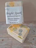 Bright Spark Shower Steamer